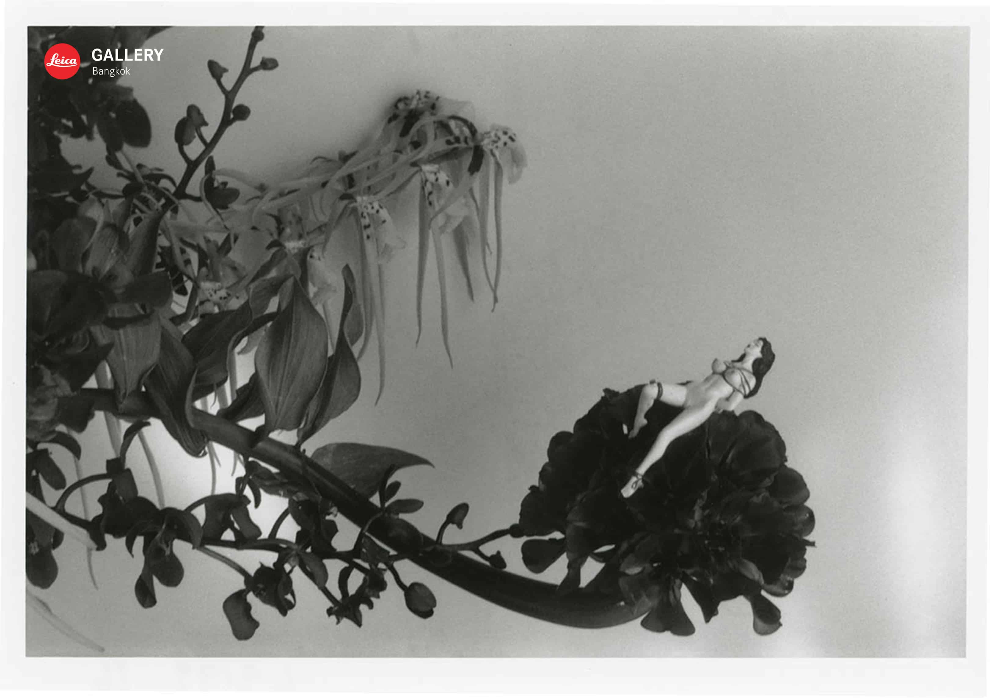 โนบุโยชิ อารากิ Nobuyoshi Araki Leica Gallery Bangkok ช่างภาพ ภาพถ่าย ญี่ปุ่น Life by Film