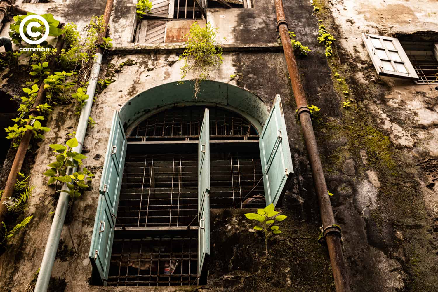 street art Rangoon 
