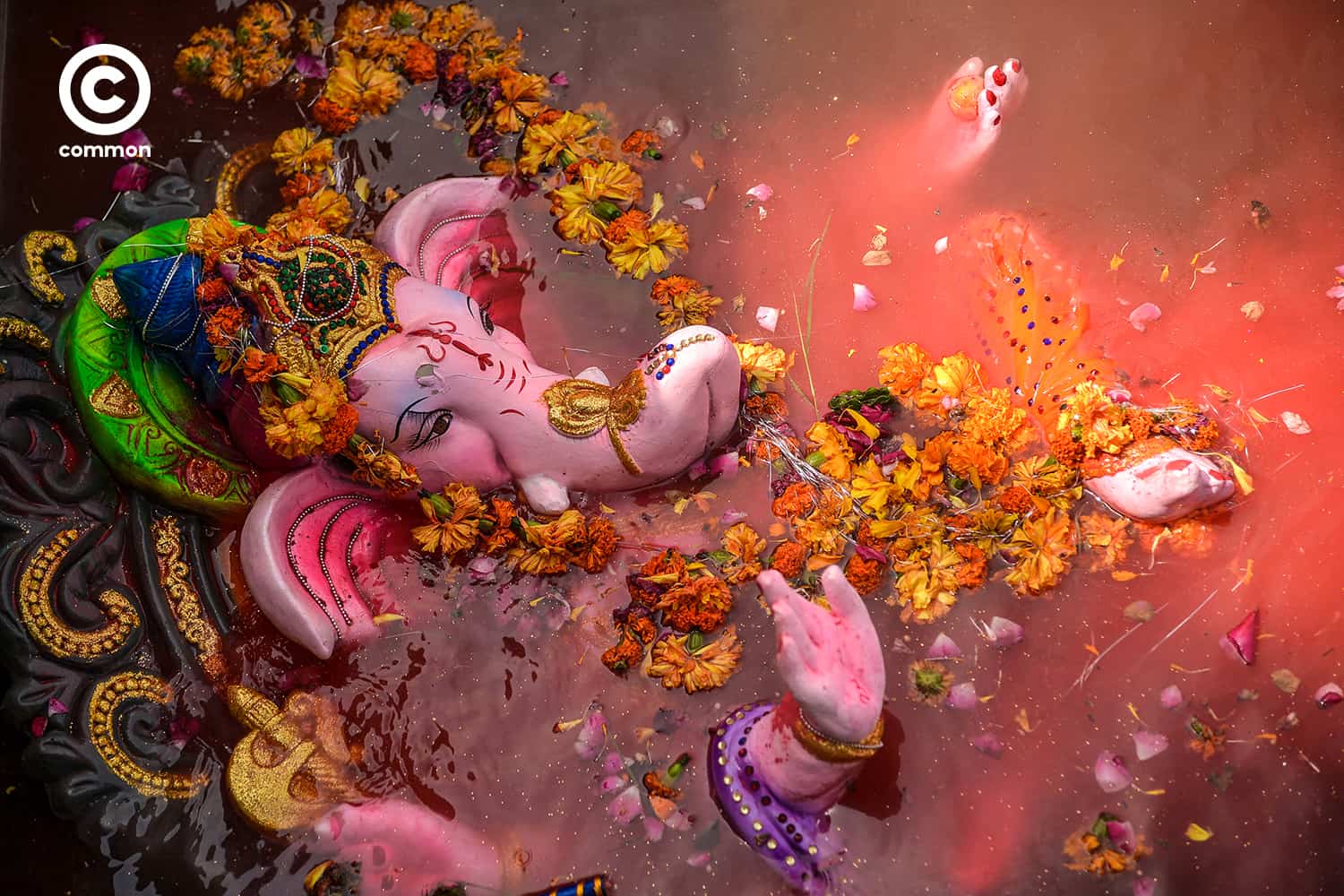 common ganesha