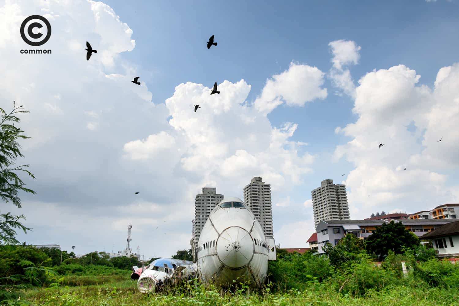 common airplane