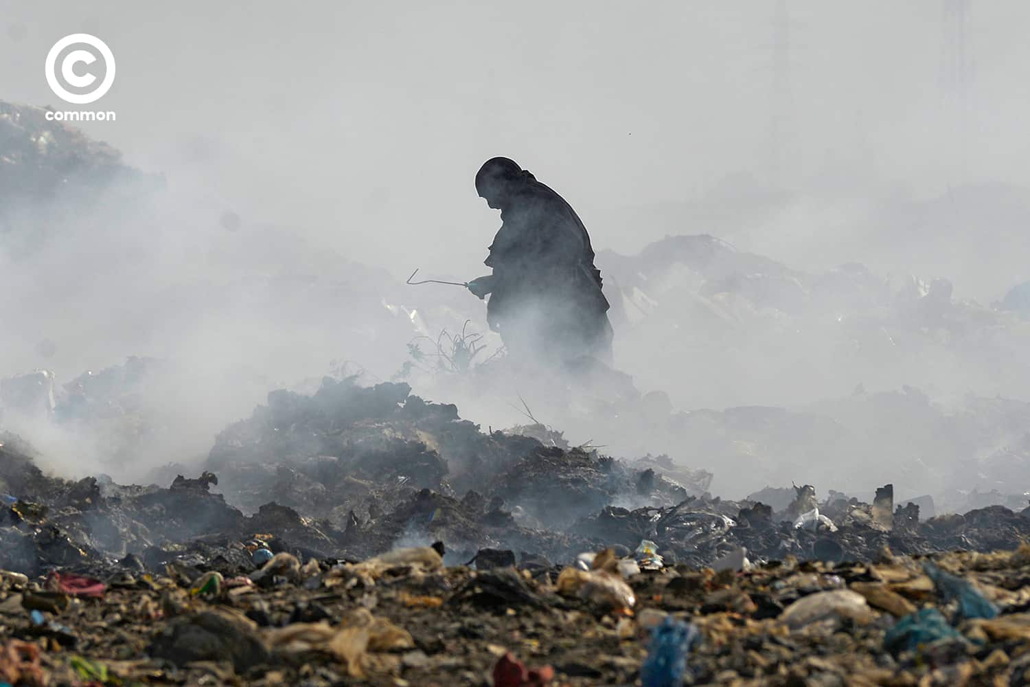 food waste common