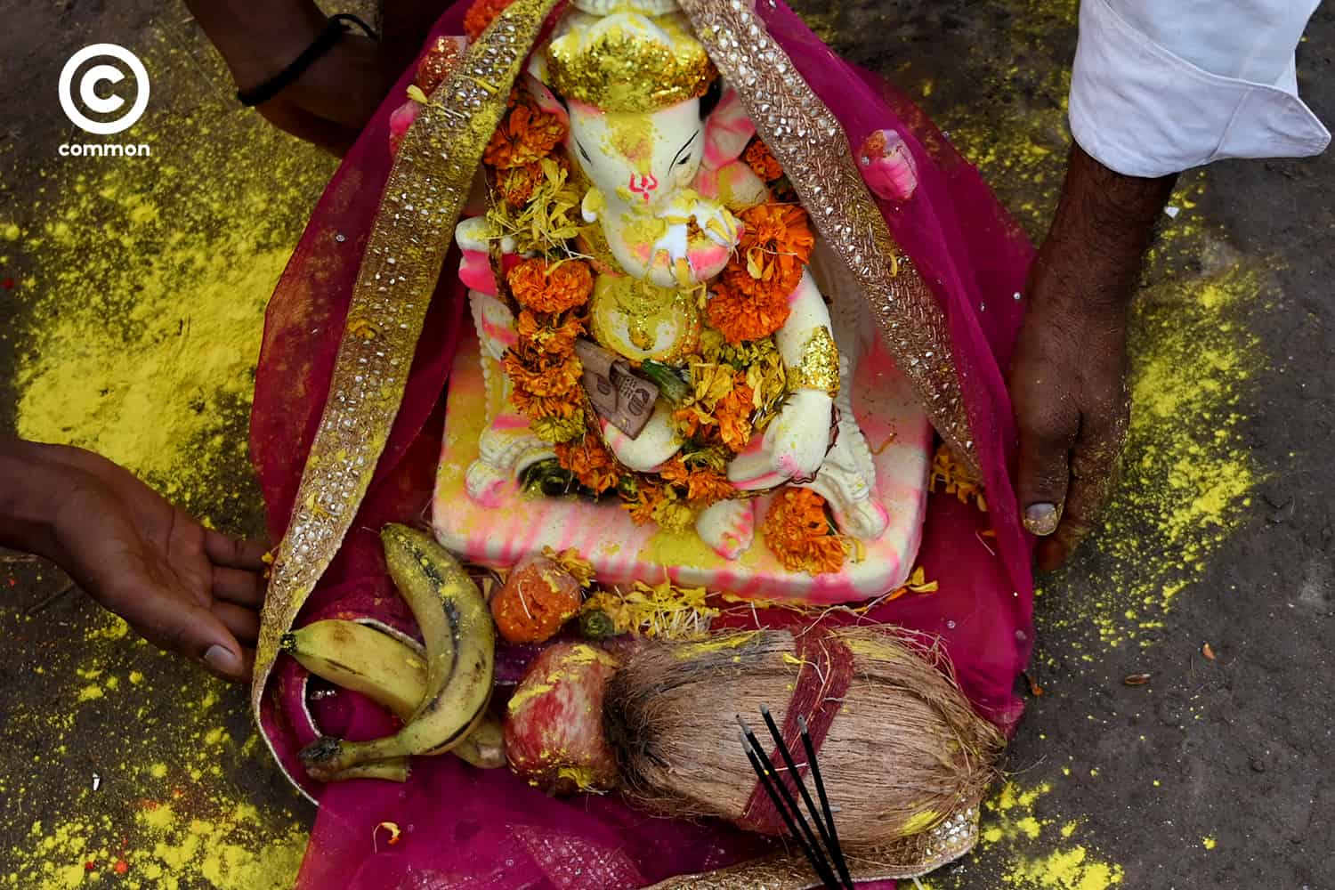 common ganesha
