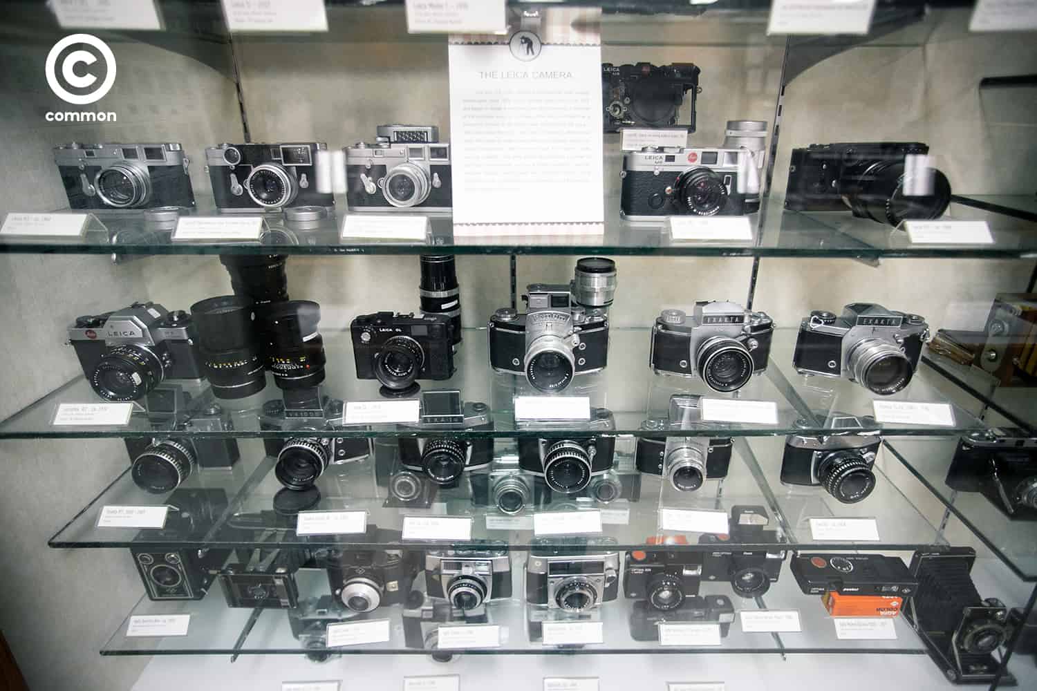 cu museum 
