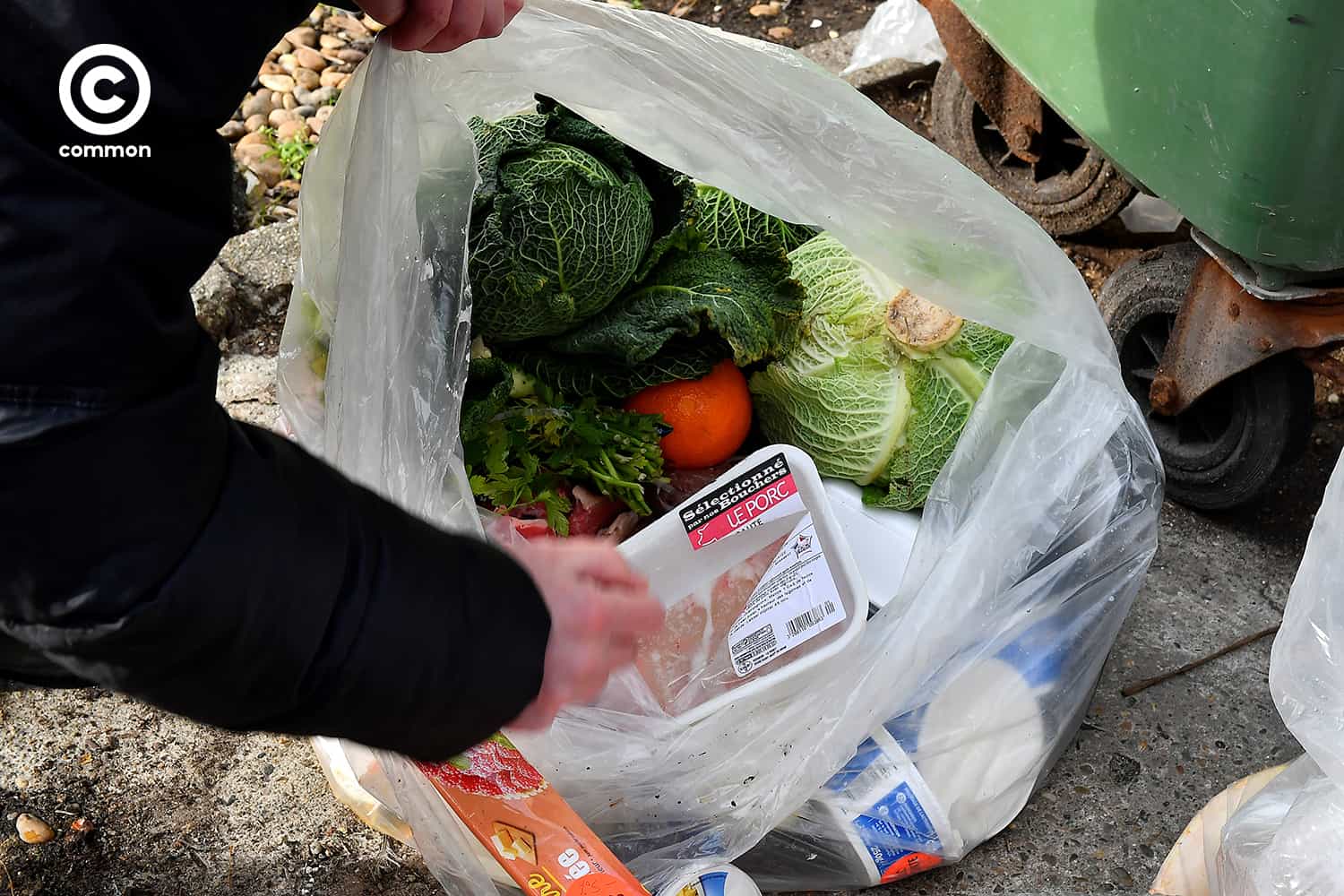 food waste common
