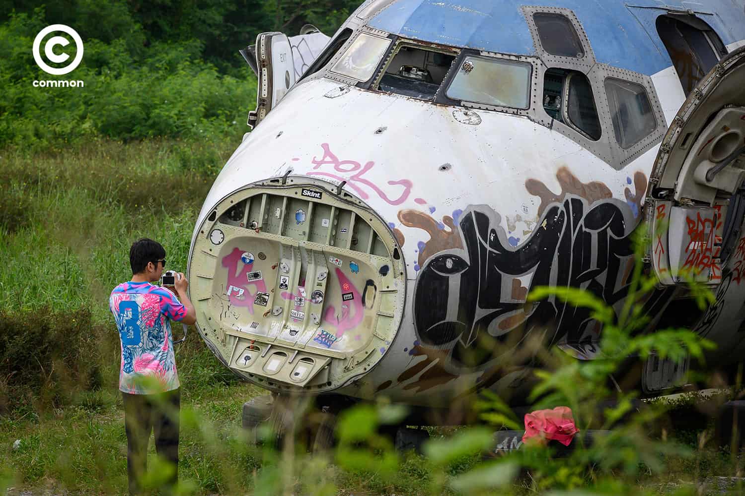 common airplane