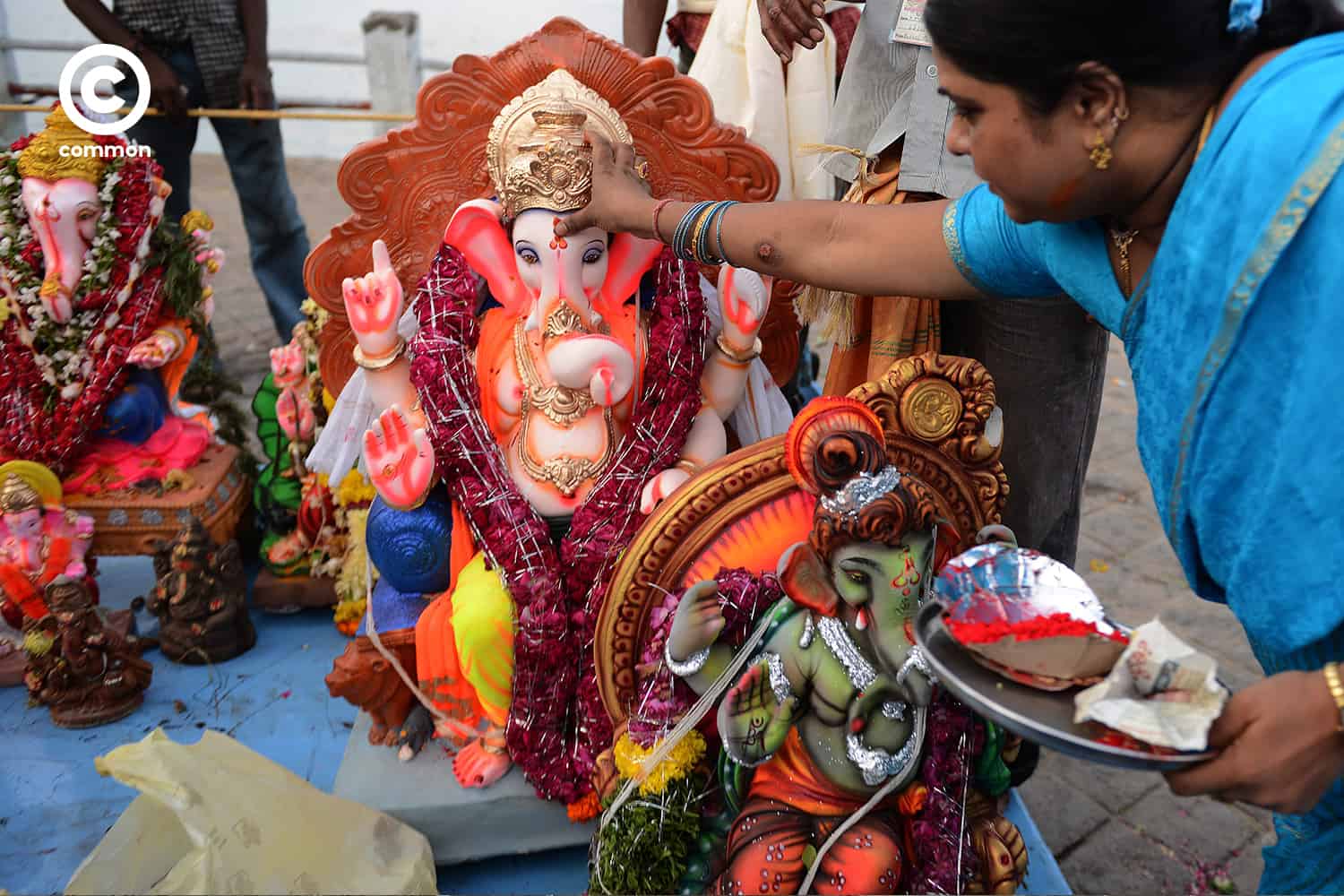 common ganesha