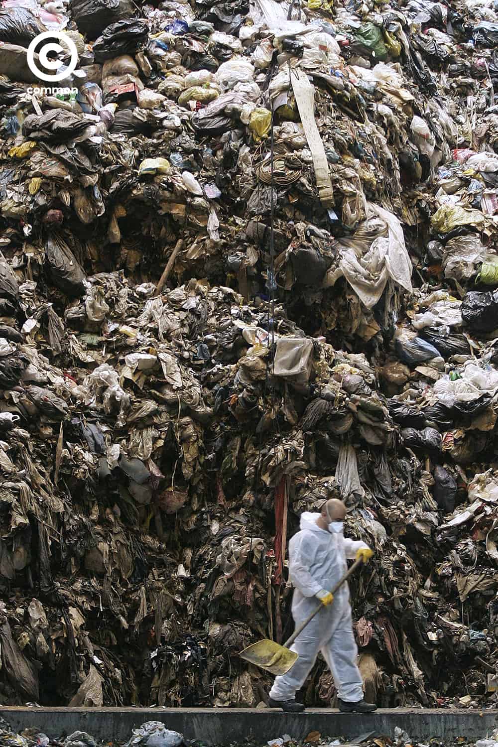food waste common