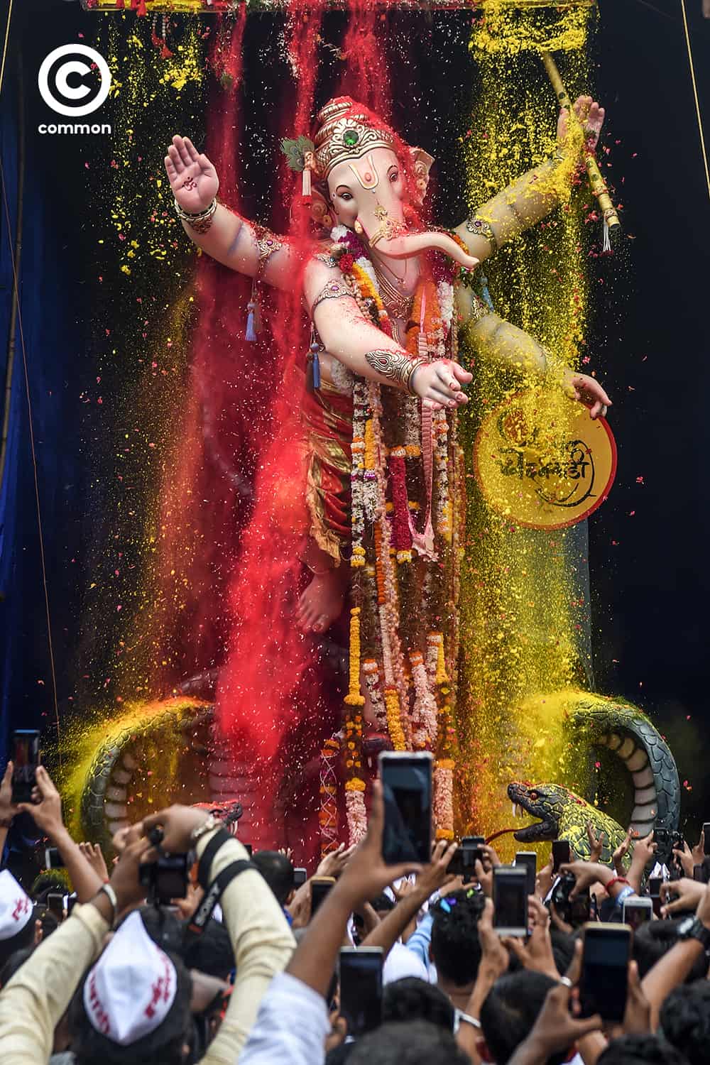 common ganesha