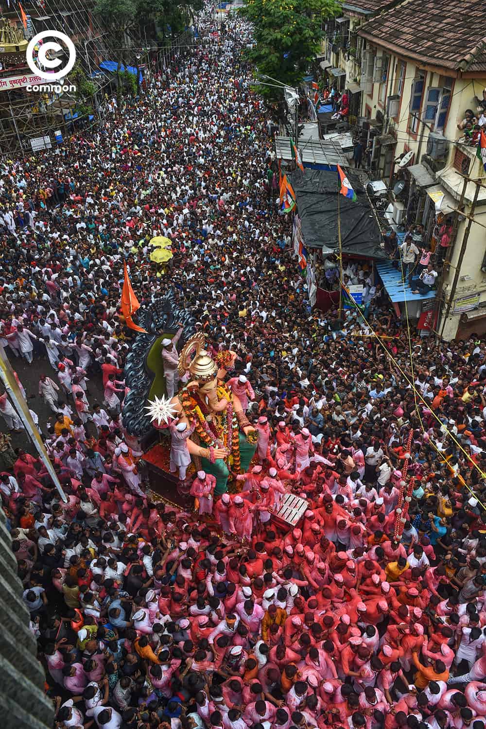 common ganesha