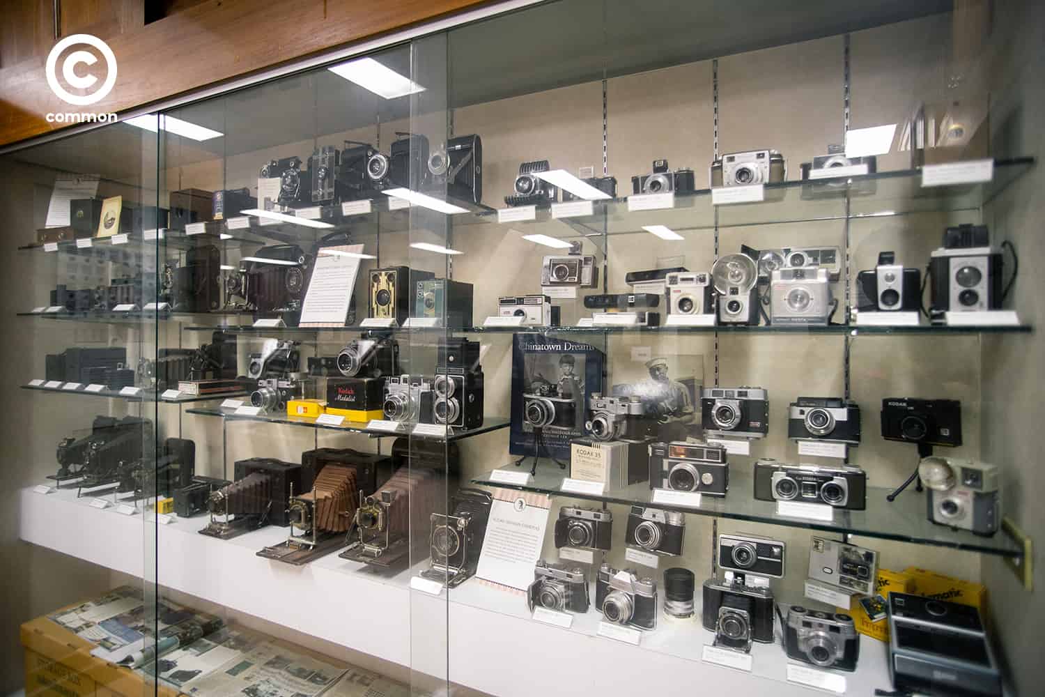 cu museum 