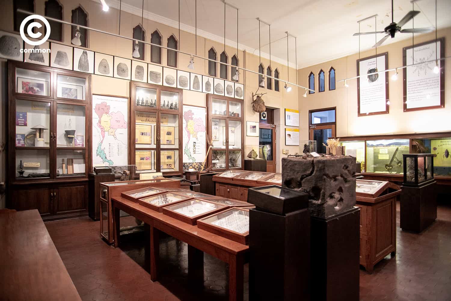 cu museum 