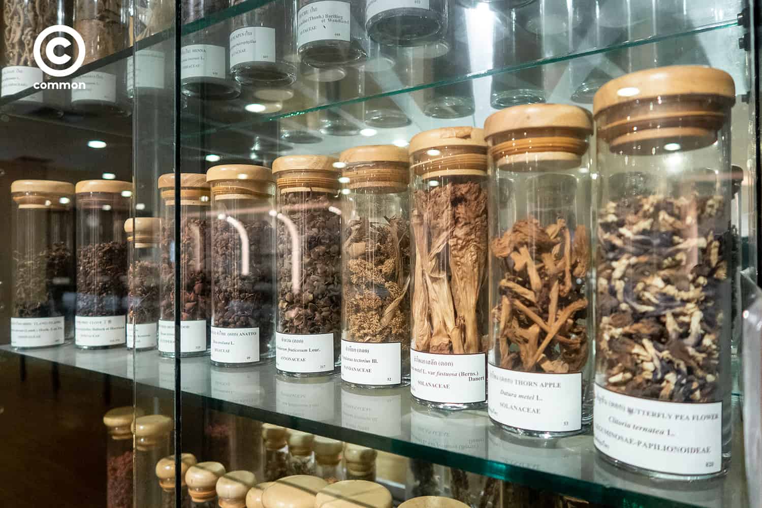 cu museum 