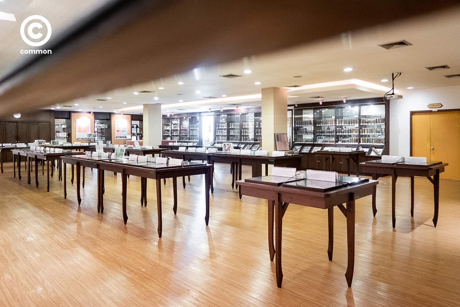 cu museum 