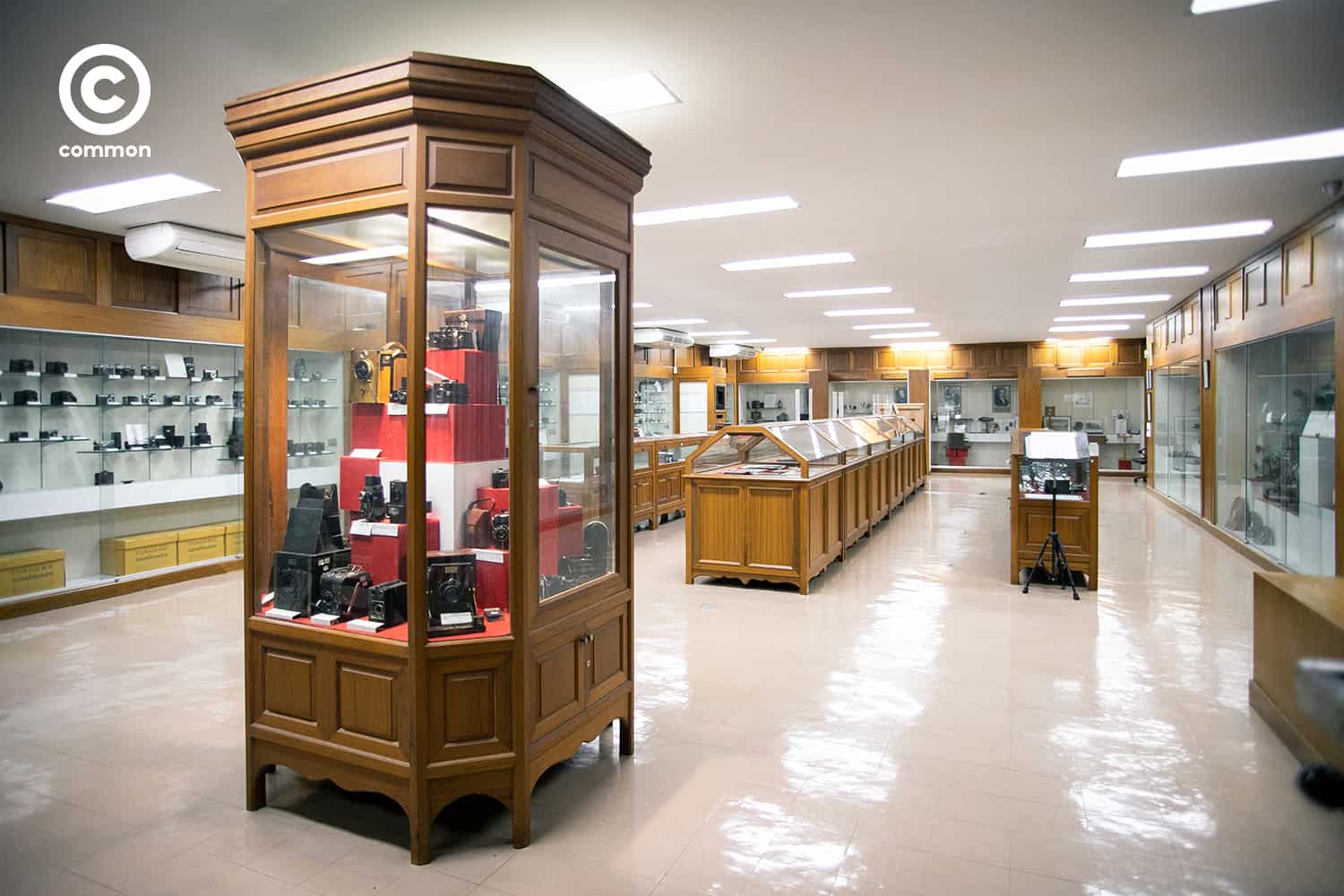 cu museum 