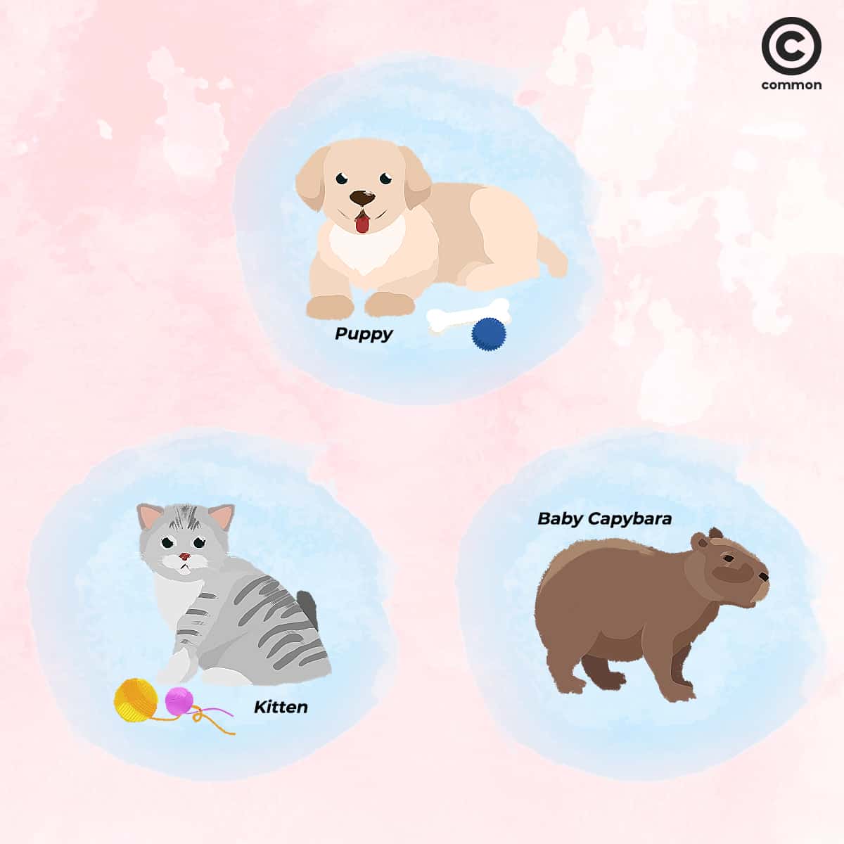 common cuteness