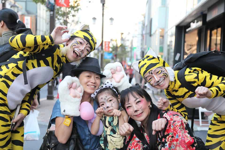 supernatural cat festival 