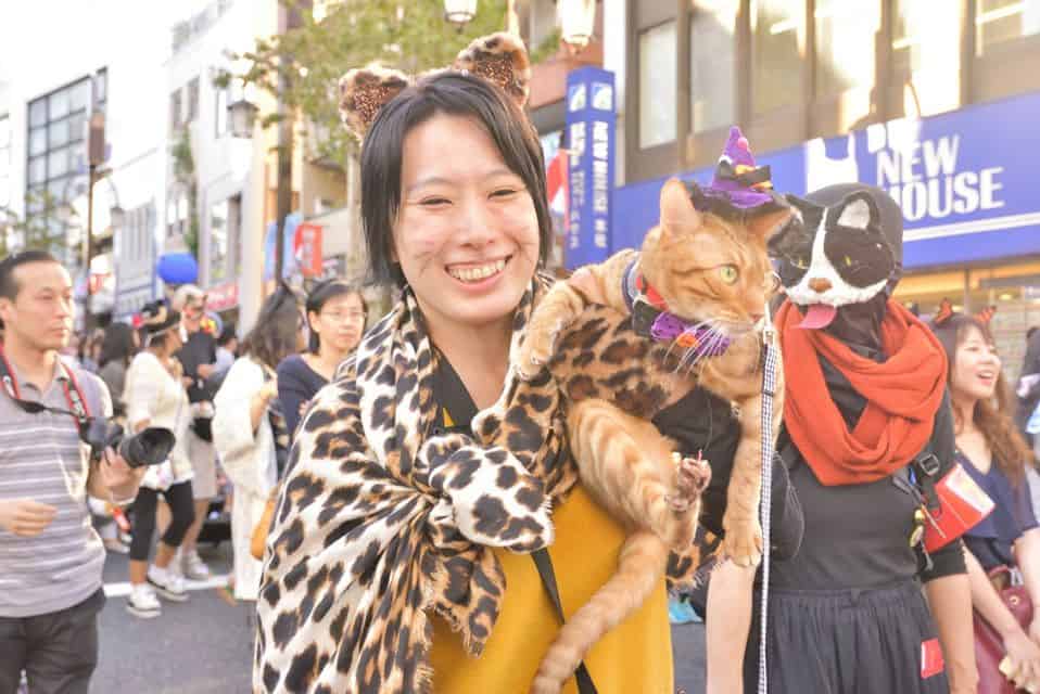 supernatural cat festival 