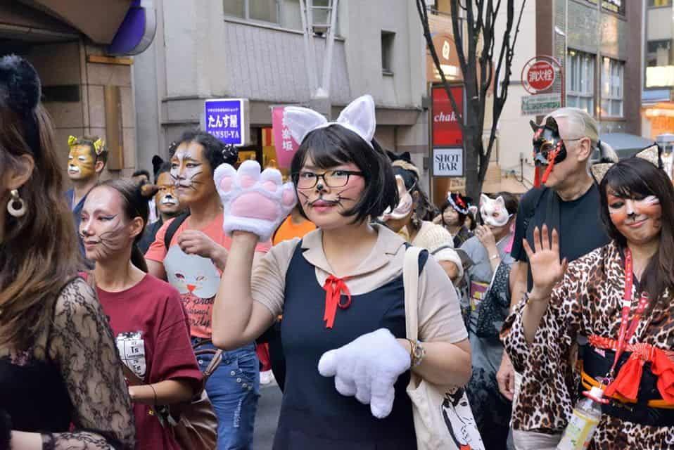 supernatural cat festival 