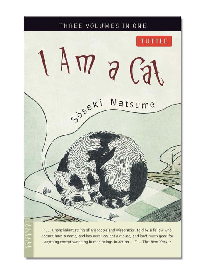 I am a Cat