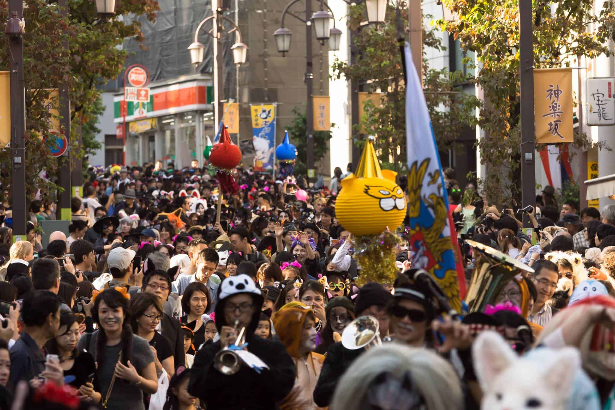 supernatural cat festival 