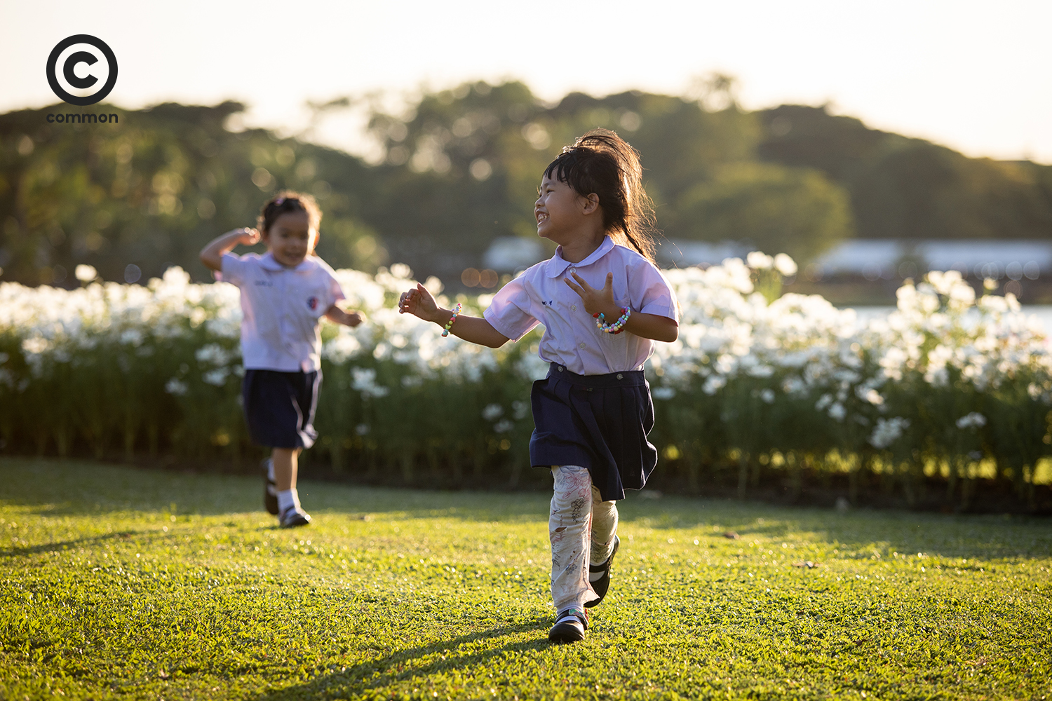 #photoessay #สวนหลวงร9 #ดอกไม้ #CULTURE #พรรณไม้งามอร่ามสวนหลวงร9 #common