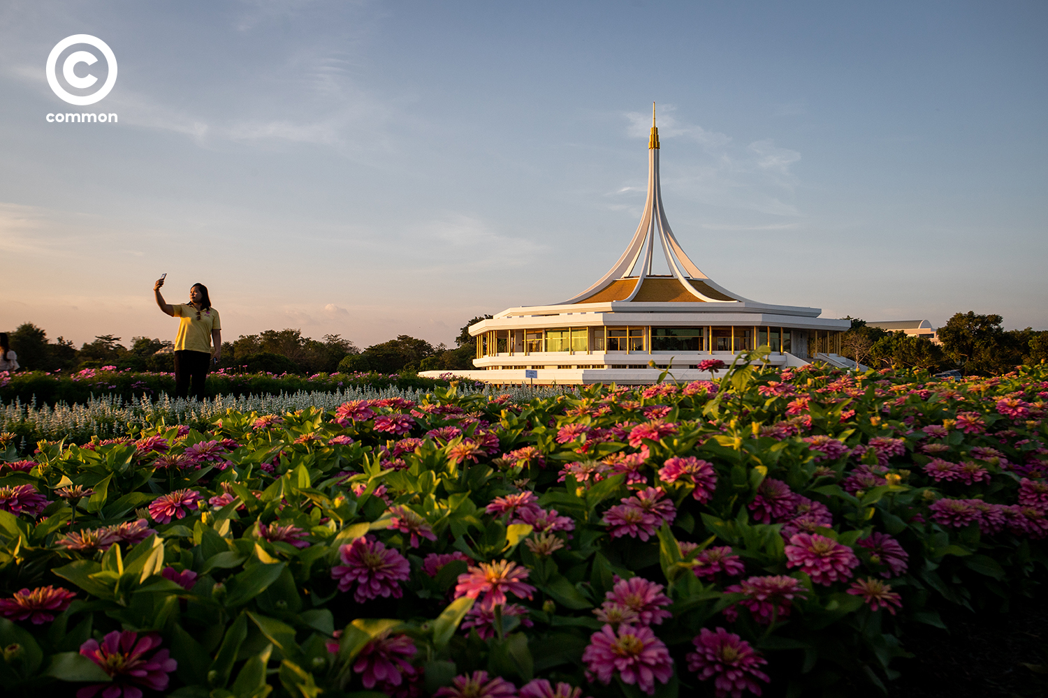 #photoessay #สวนหลวงร9 #ดอกไม้ #CULTURE #พรรณไม้งามอร่ามสวนหลวงร9 #common