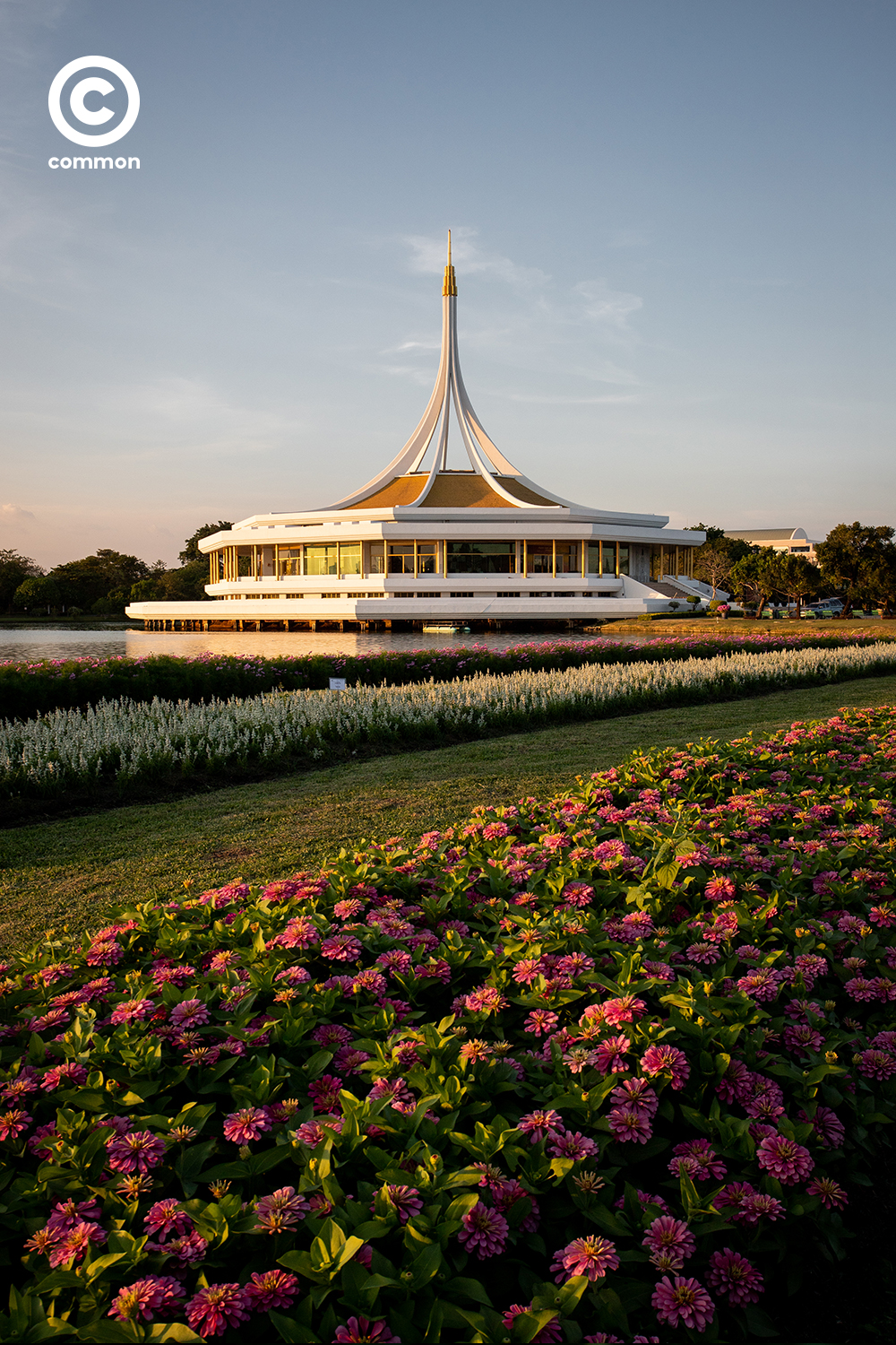 #photoessay #สวนหลวงร9 #ดอกไม้ #CULTURE #พรรณไม้งามอร่ามสวนหลวงร9 #common