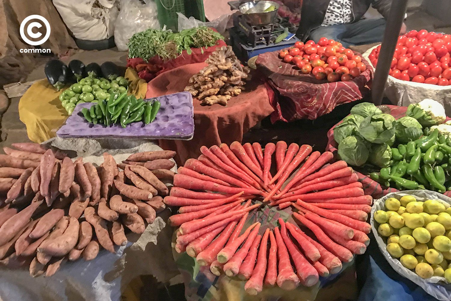Jaipur 