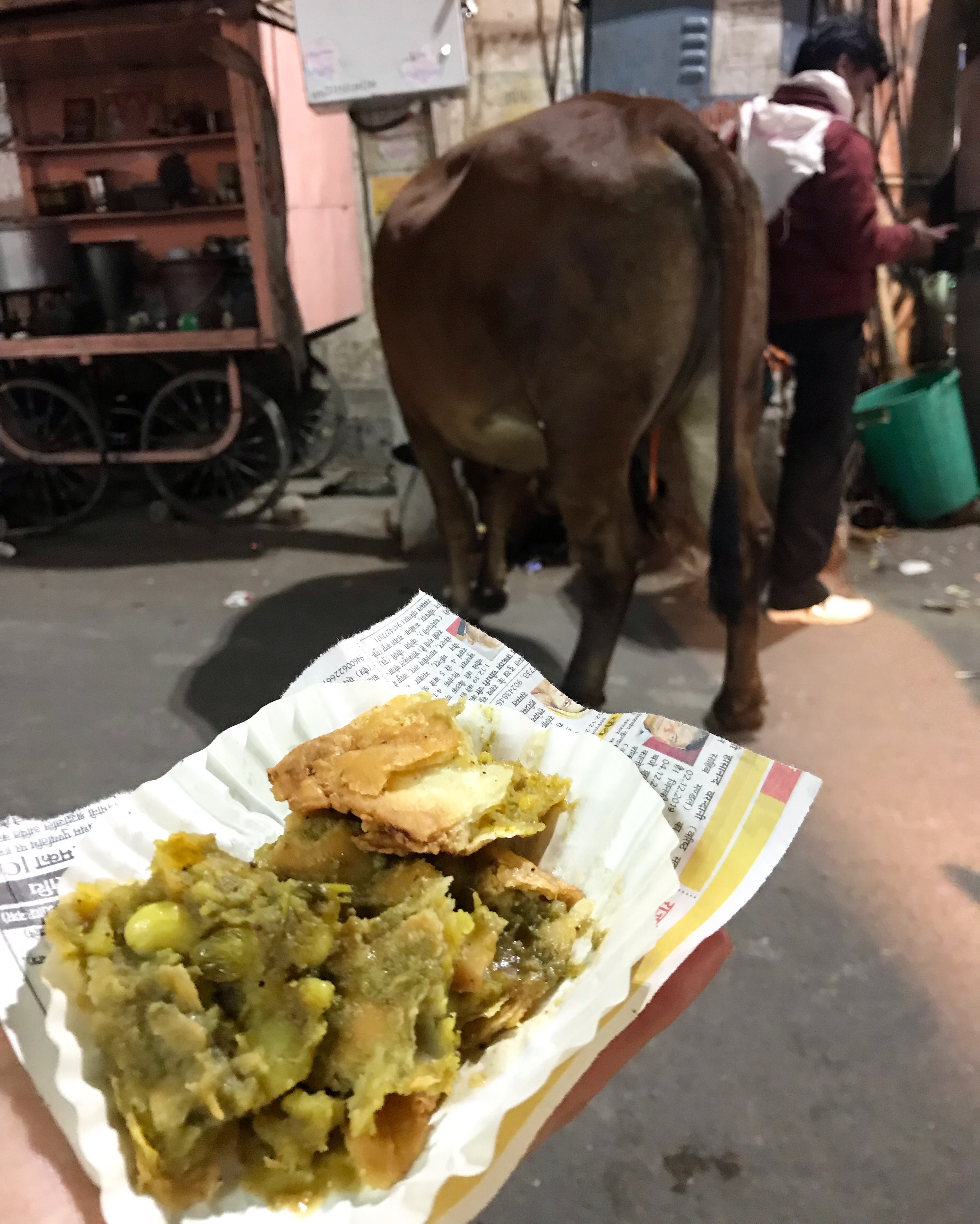 jaipur