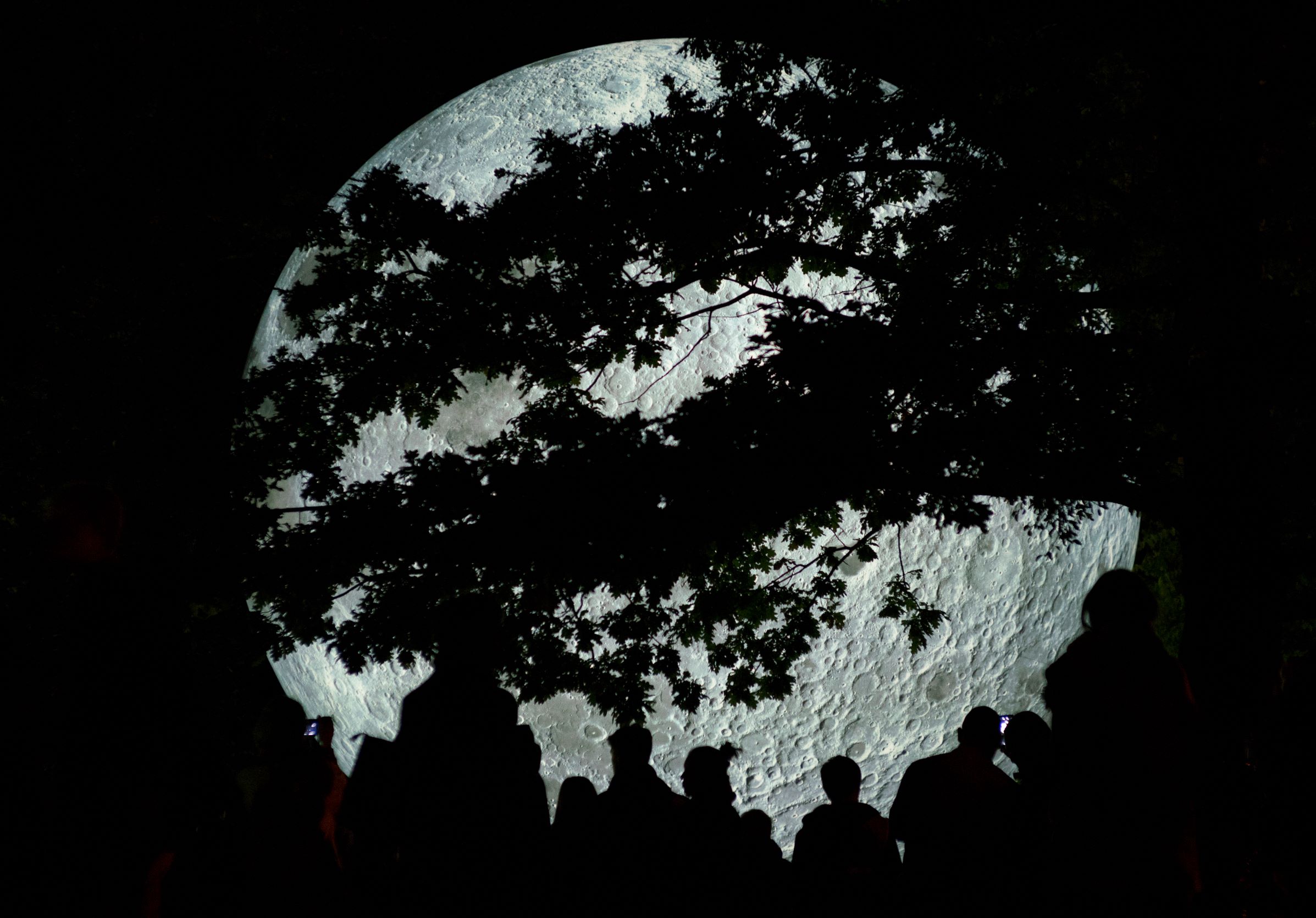 Museum of the Moon