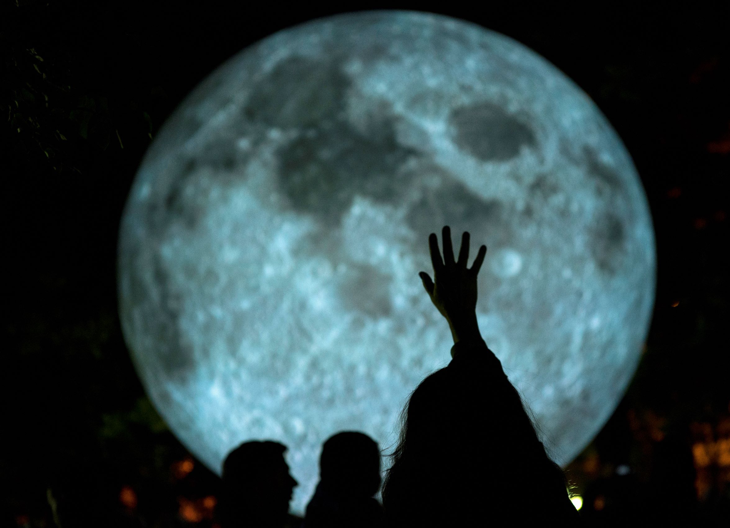 Museum of the Moon