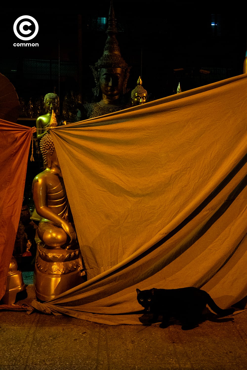 #photoessay #เสาชิงช้า #พระพุทธรูป #CULTURE #common 