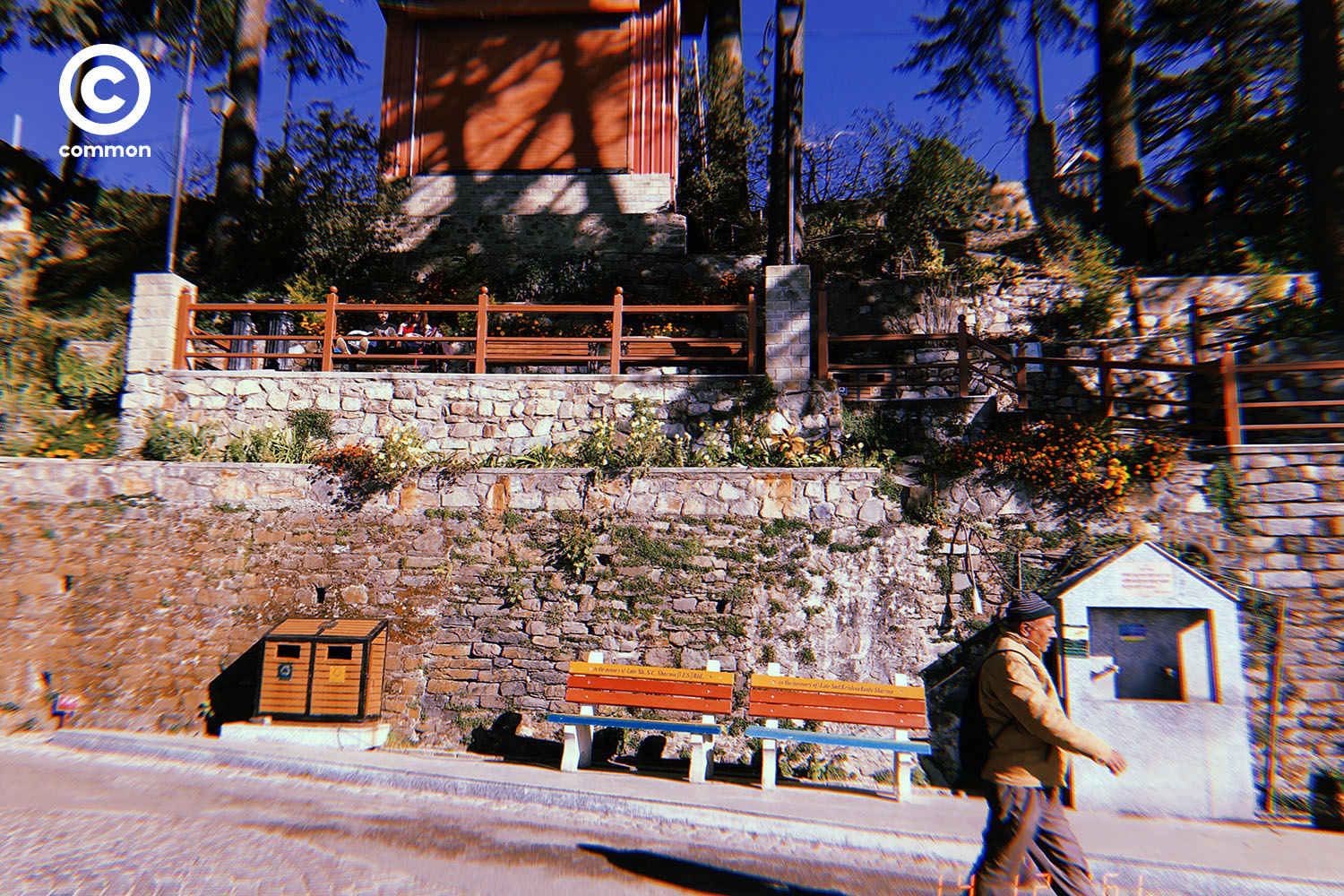 shimla 