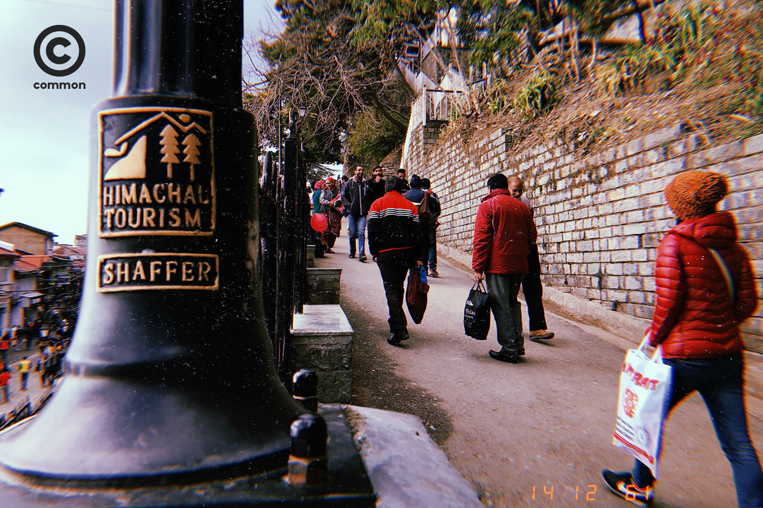 shimla 