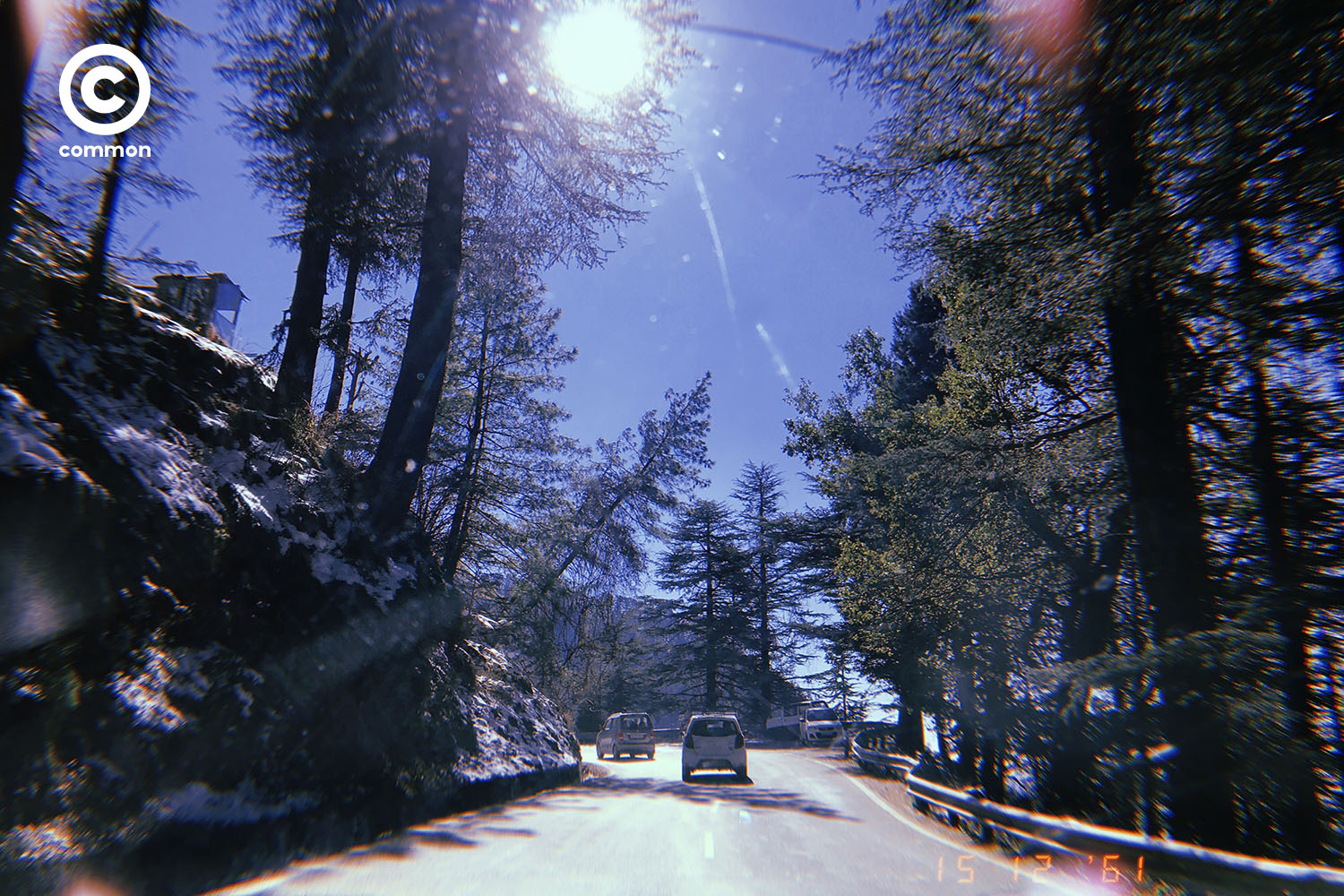 shimla 