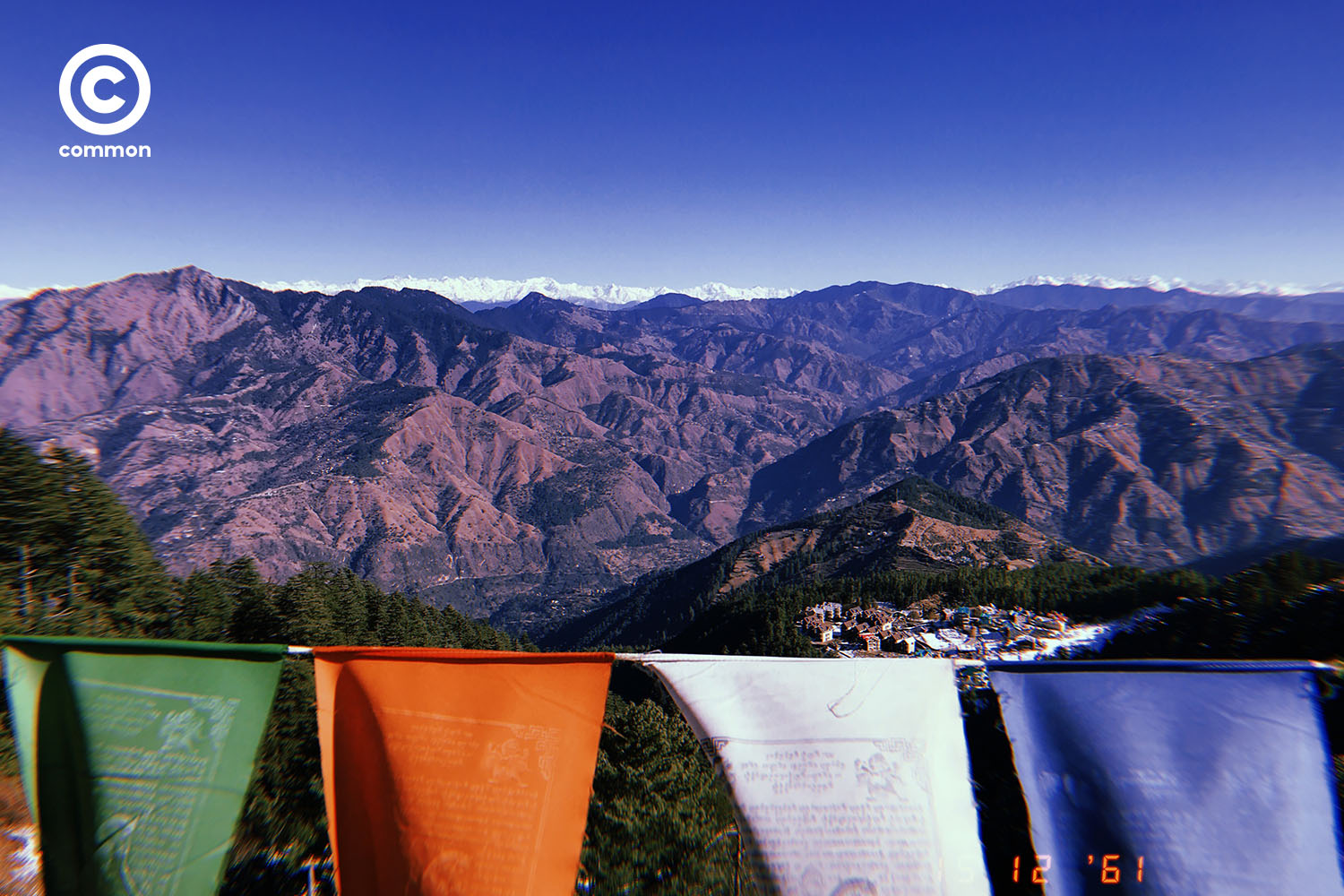 shimla