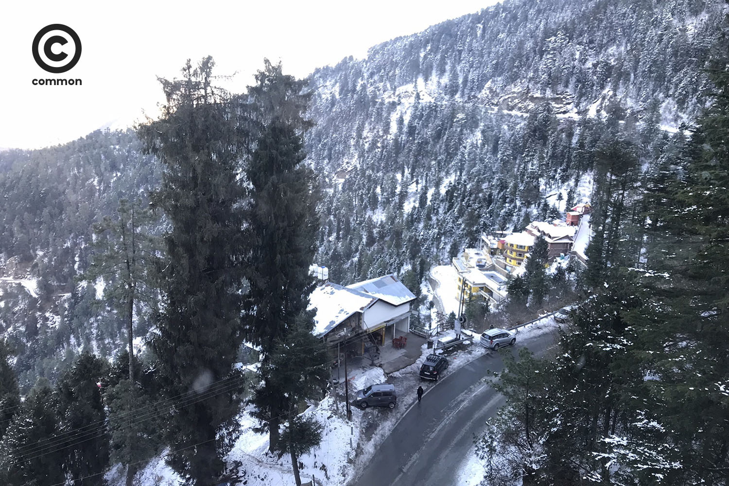 shimla
