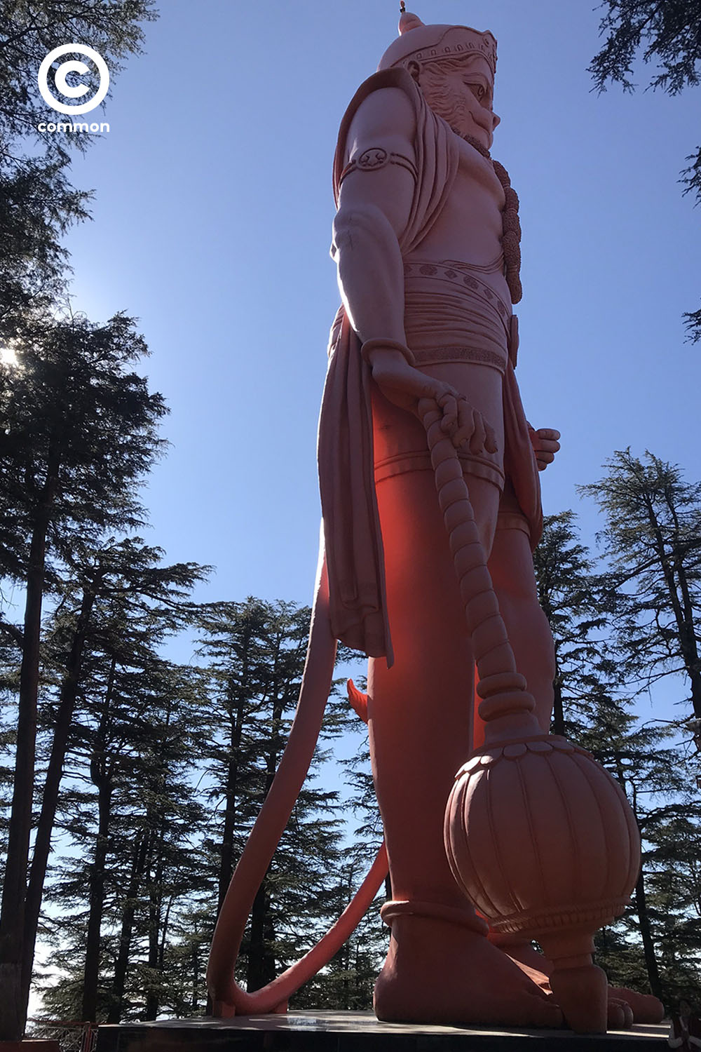 shimla 
