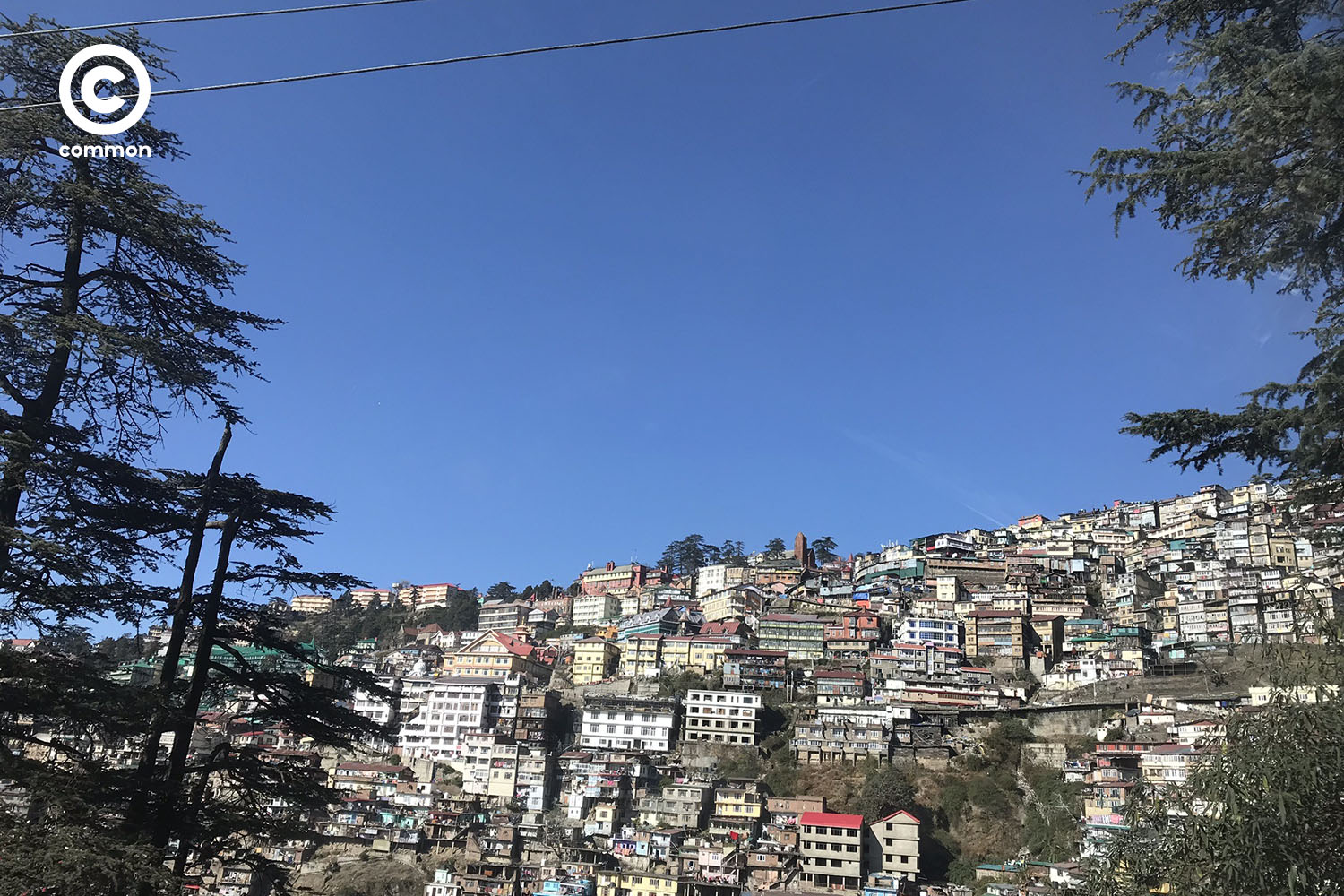shimla