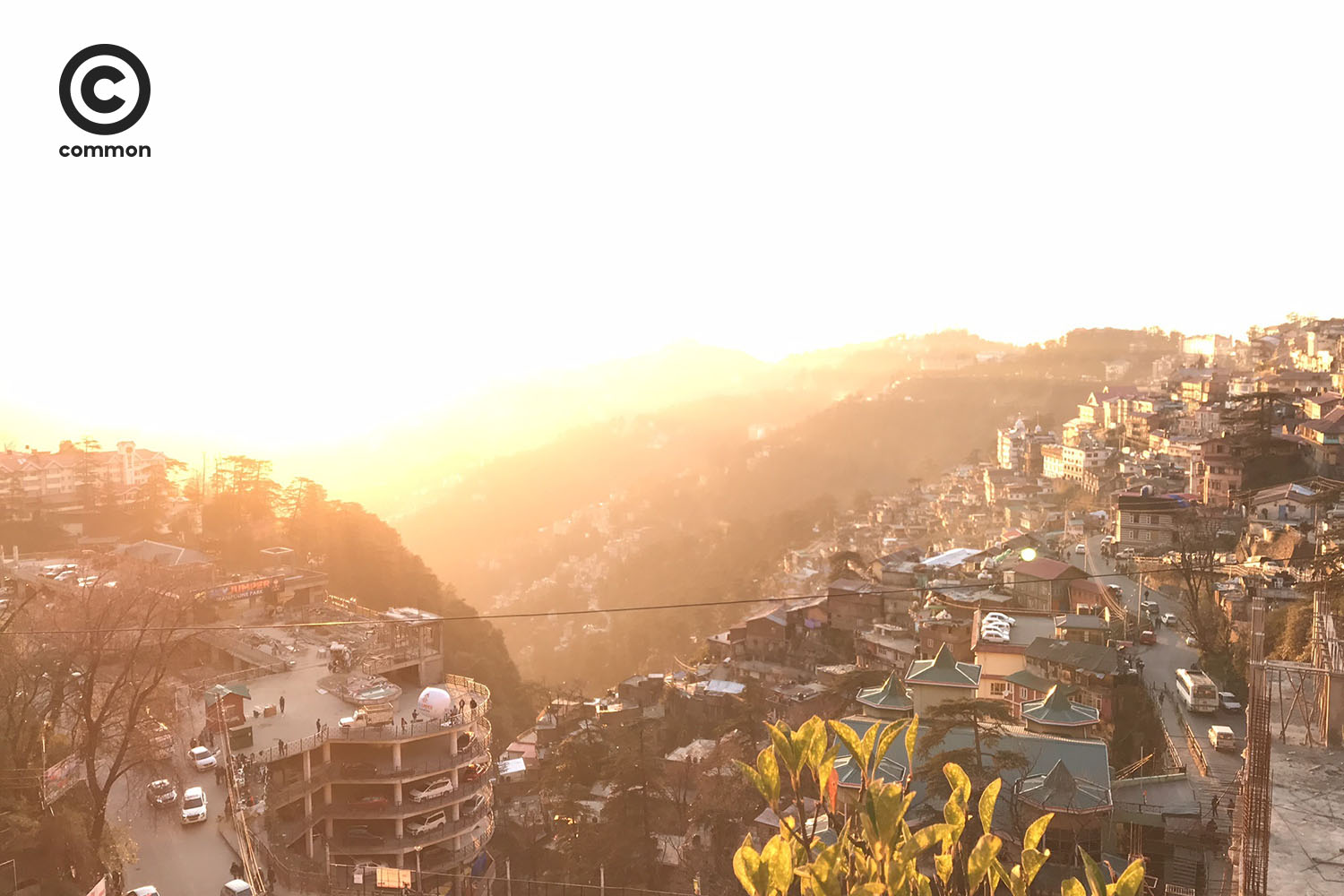 shimla 