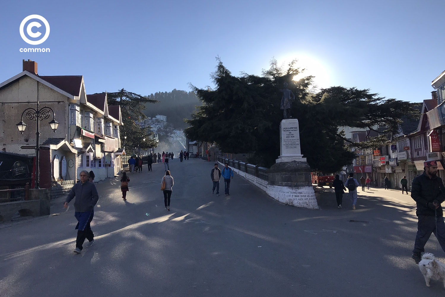 shimla 