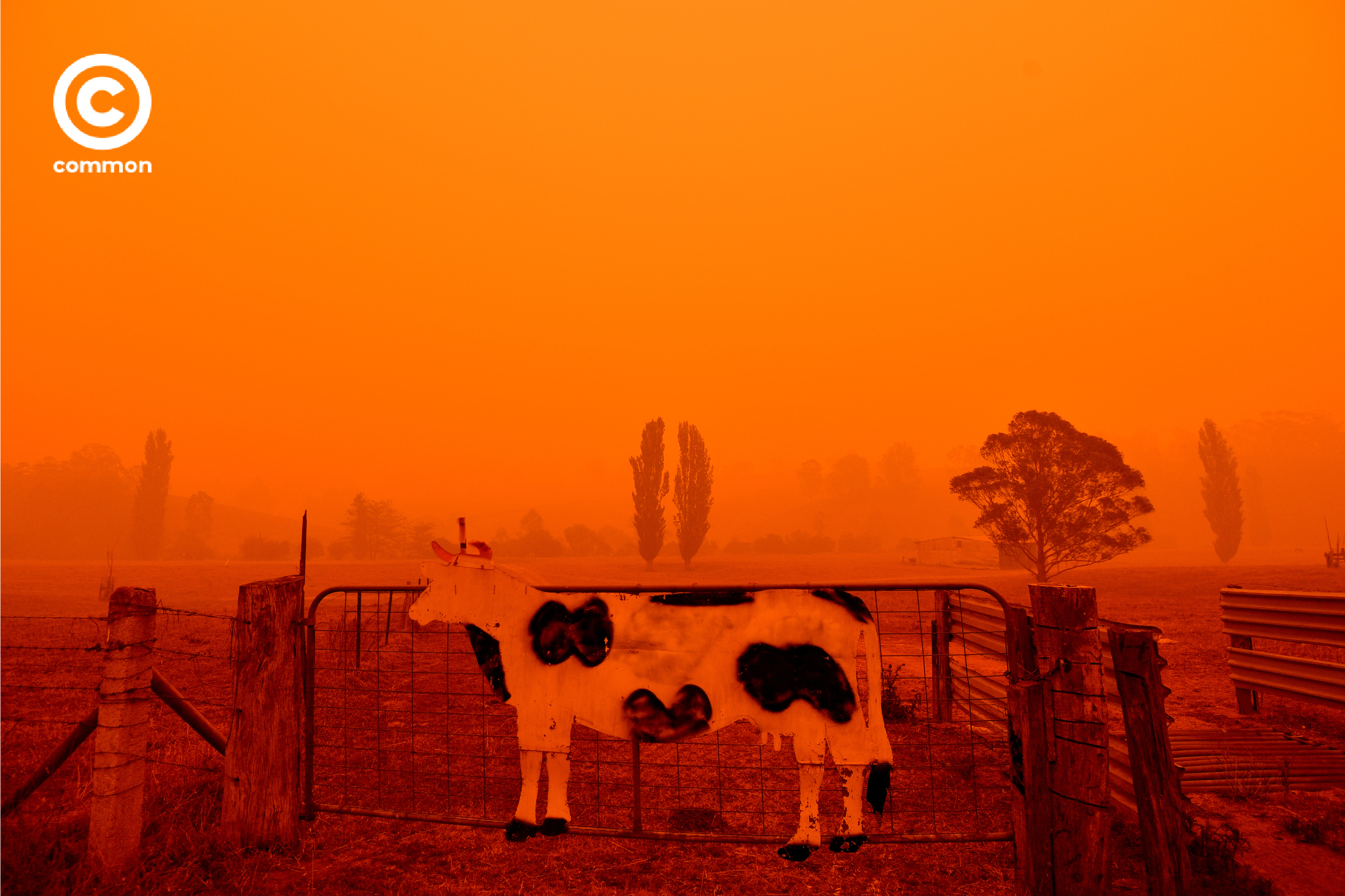 ิีbushfire australia 