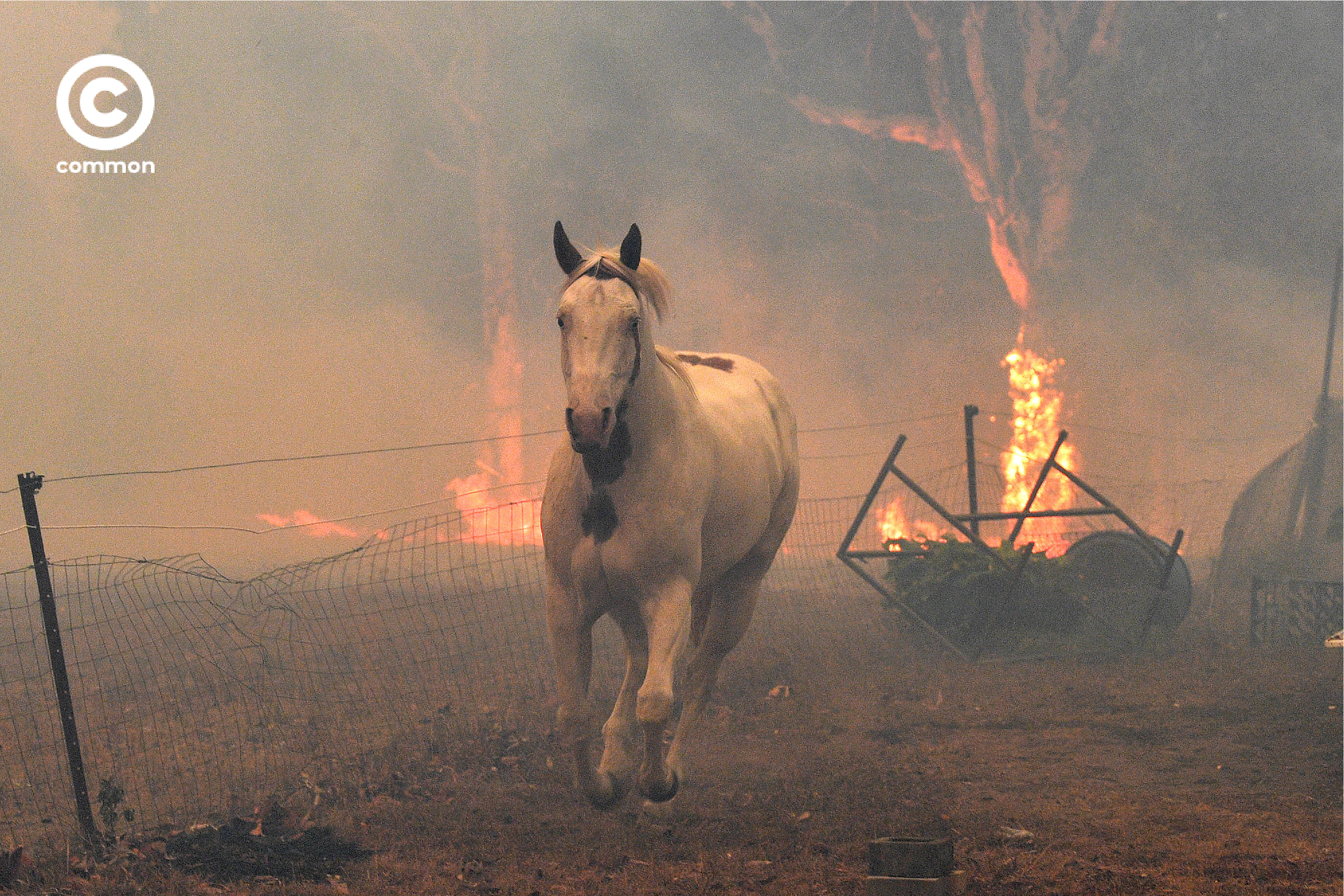 ิีbushfire australia 
