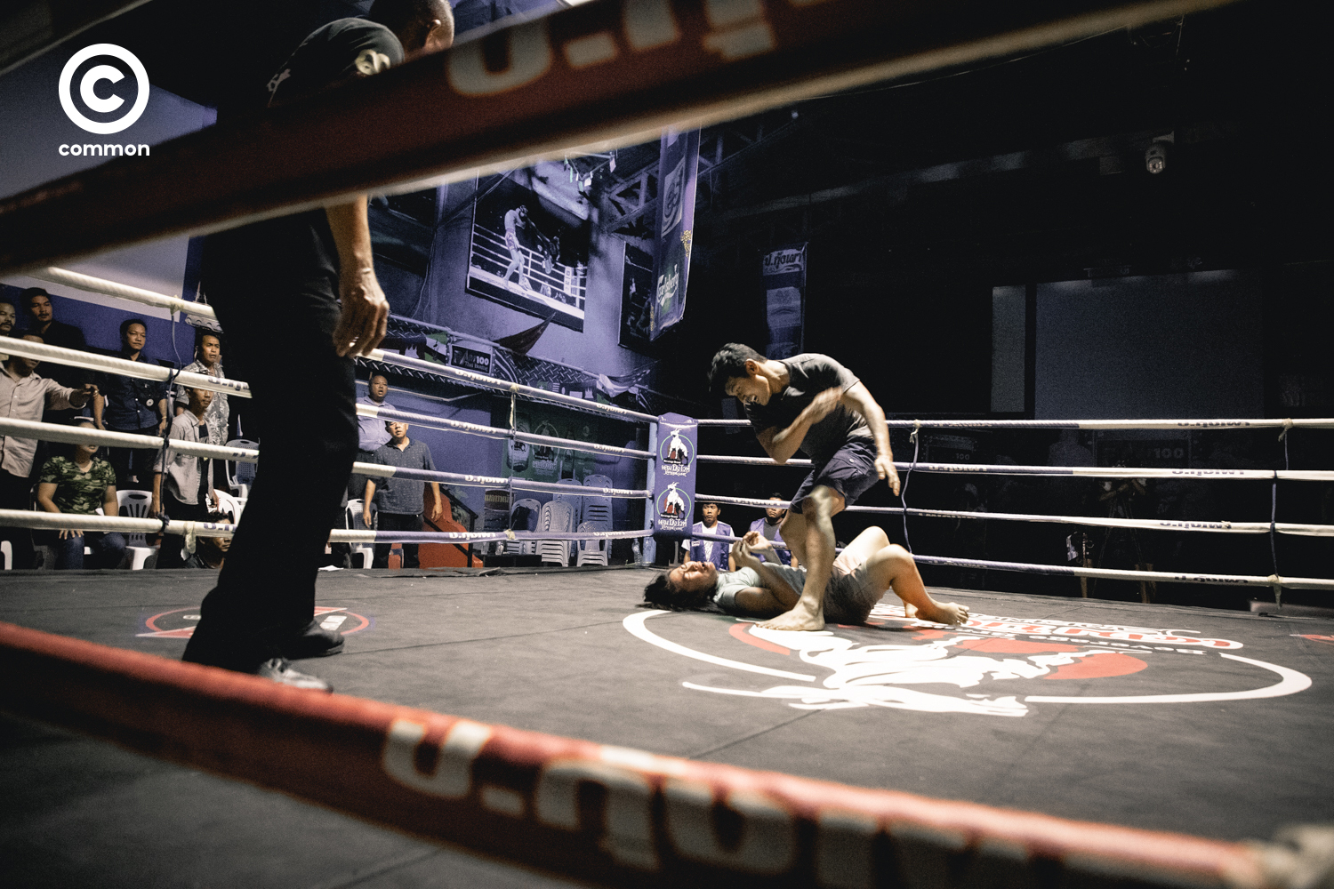 The Daily Fight มวยรายวัน ความรุนแรง ผู้หญิง เด็ก ผู้ชาย ร่างกาย เพศ ข่มขืน มูลนิธิหญิงไทยก้าวไกล เดนท์สุ ประเทศไทย dentsu thailand วันสตรีสากล