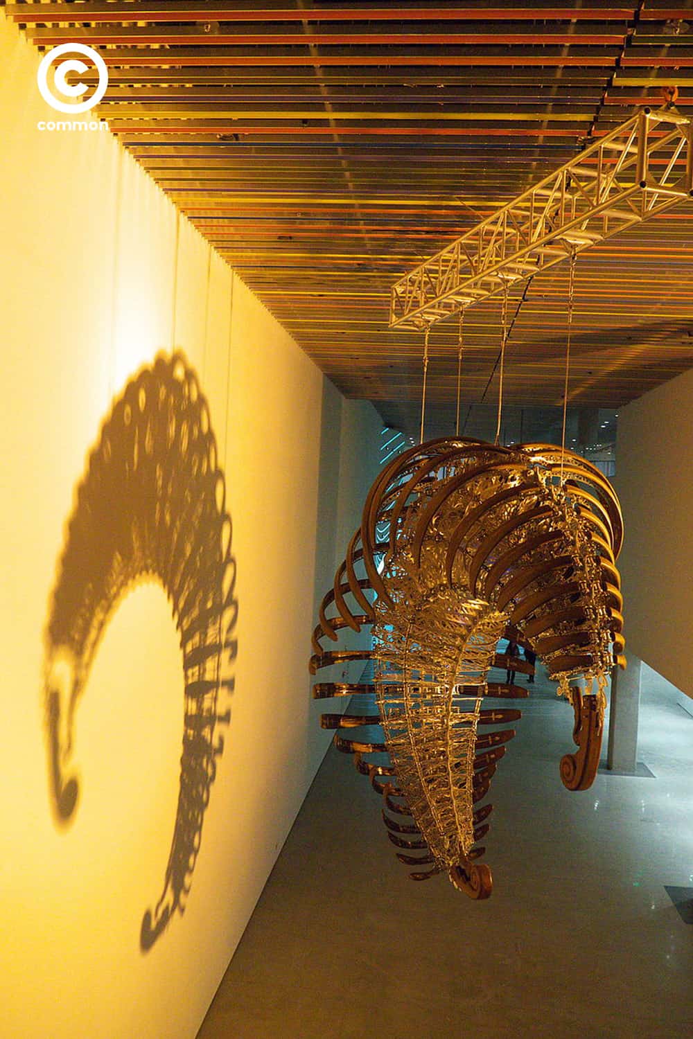 museum 