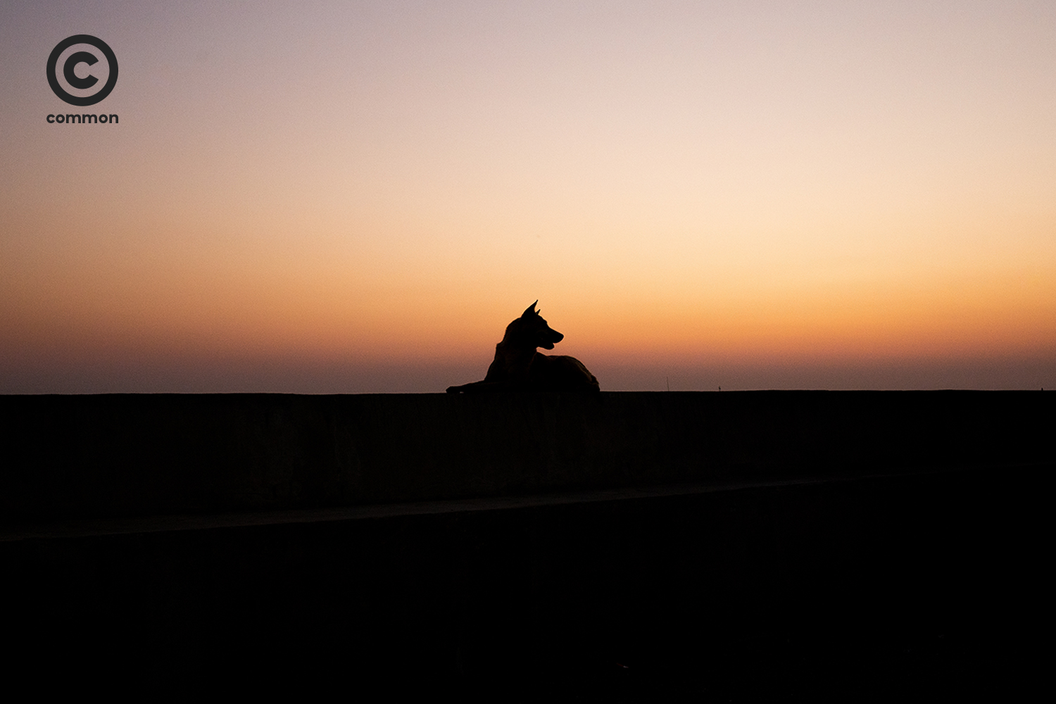 #COVID19 #โควิด19 #โรคระบาด #sunset #ส่งต่อความคิดสู้COVID19 #WORLD #common 
