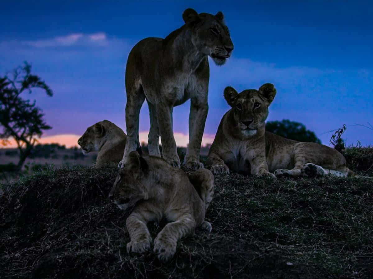 Night-on-Earth