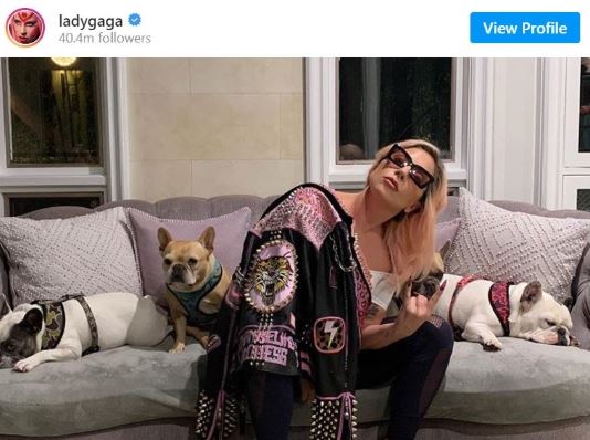 ladygaga