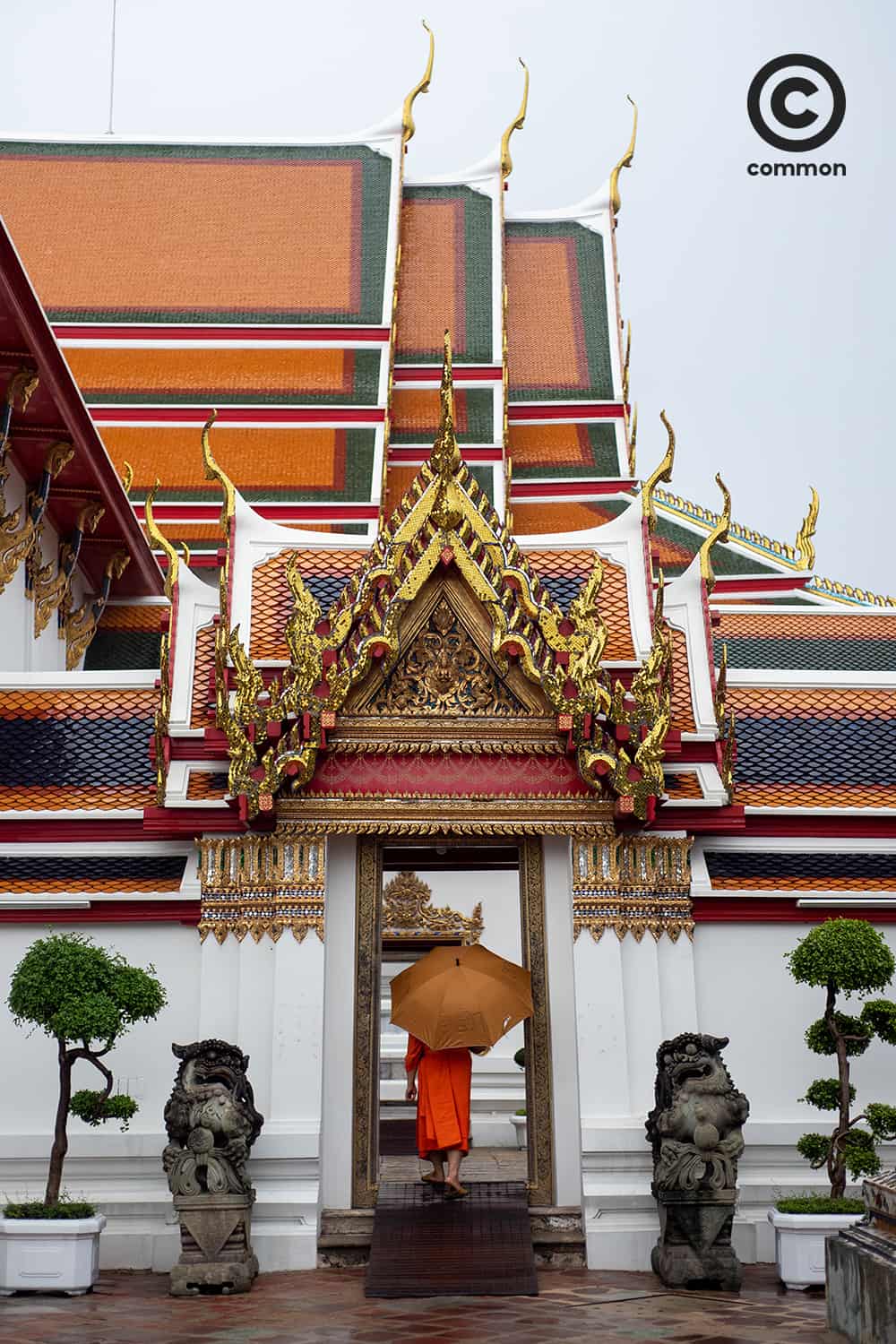 #COVID19 #โควิด19 #วัดโพธิ์ #ส่งต่อความคิดสู้COVID19 #WORLD #becommon 