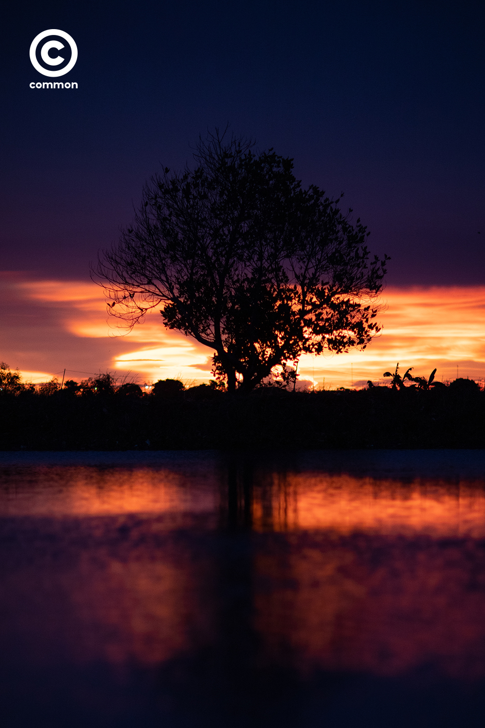 #PHOTOESSAY #sunset #พระอาทิตย์ตก #WORLD #becommon 